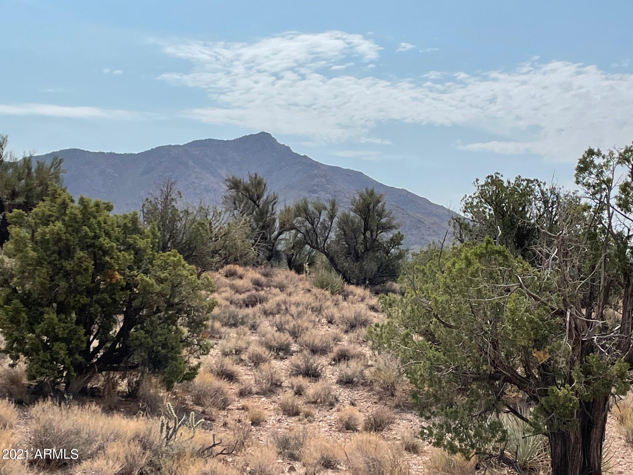 Lot 321 Howard Road, Unit 321 Kingman, AZ 86401 - Photo 7 of 17 IMG_9710