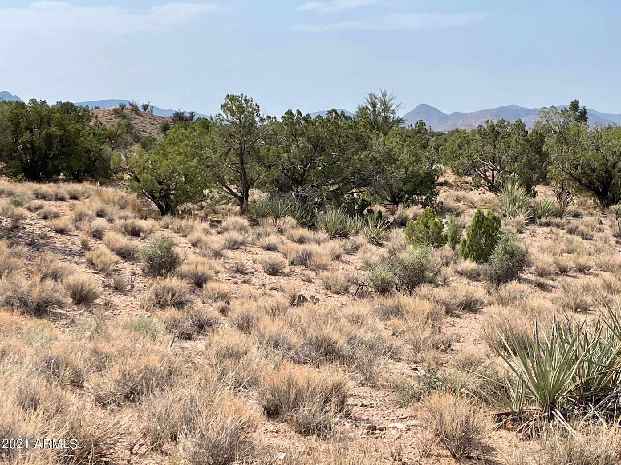 Lot 321 Howard Road, Unit 321 Kingman, AZ 86401 - Photo 8 of 17 IMG_9711