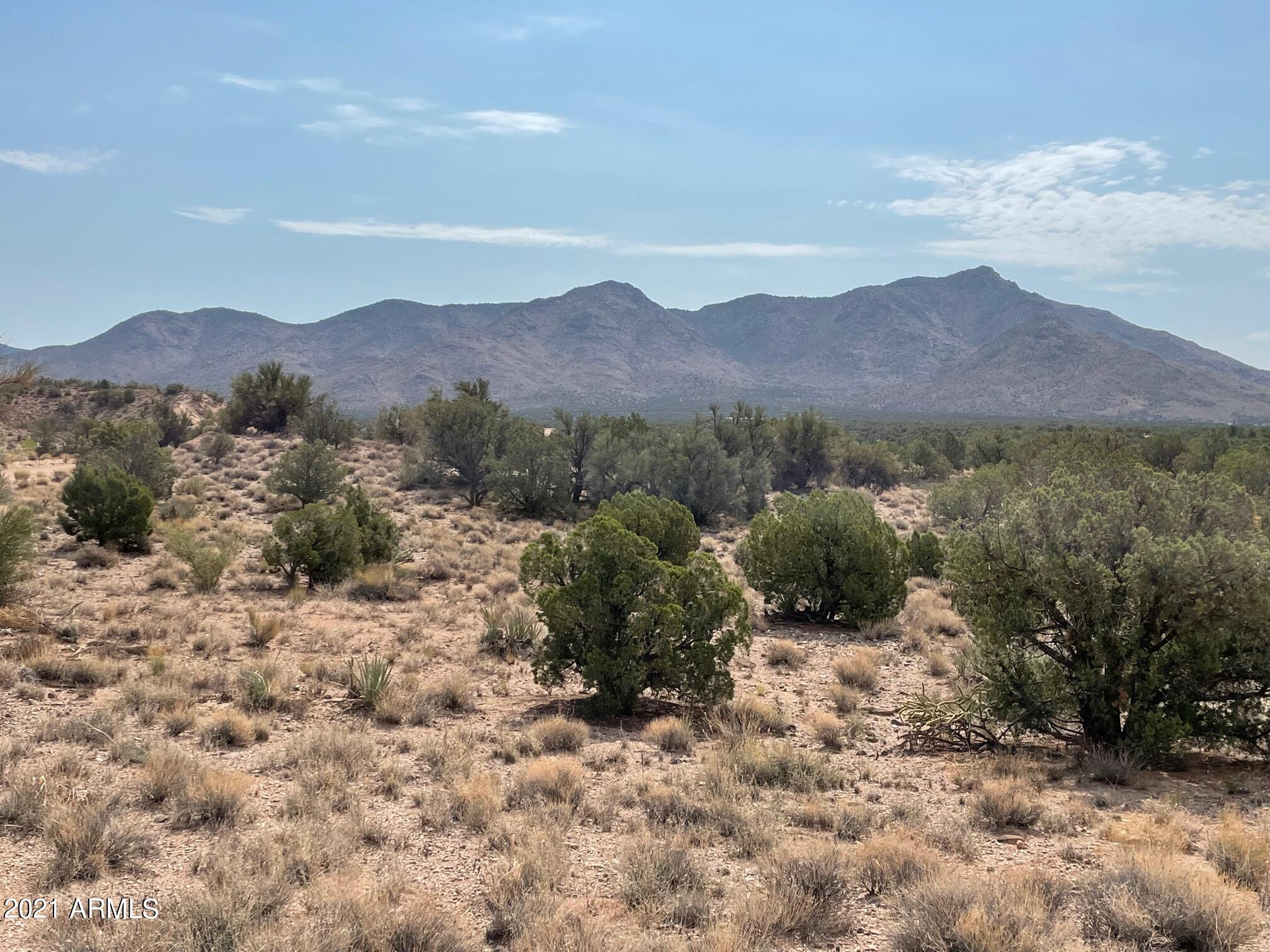 Lot 321 Howard Road, Unit 321 Kingman, AZ 86401 - Photo 10 of 17 IMG_9713