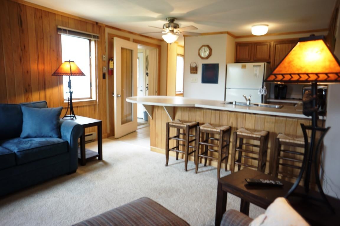 58 Powderidge Road Snowshoe, WV 26209 - Photo 3 of 25 Gallery Image 3