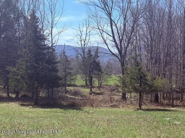 0 Van Etten Road Prattsville, NY 12468 - Photo 19 of 34 IMG_3164