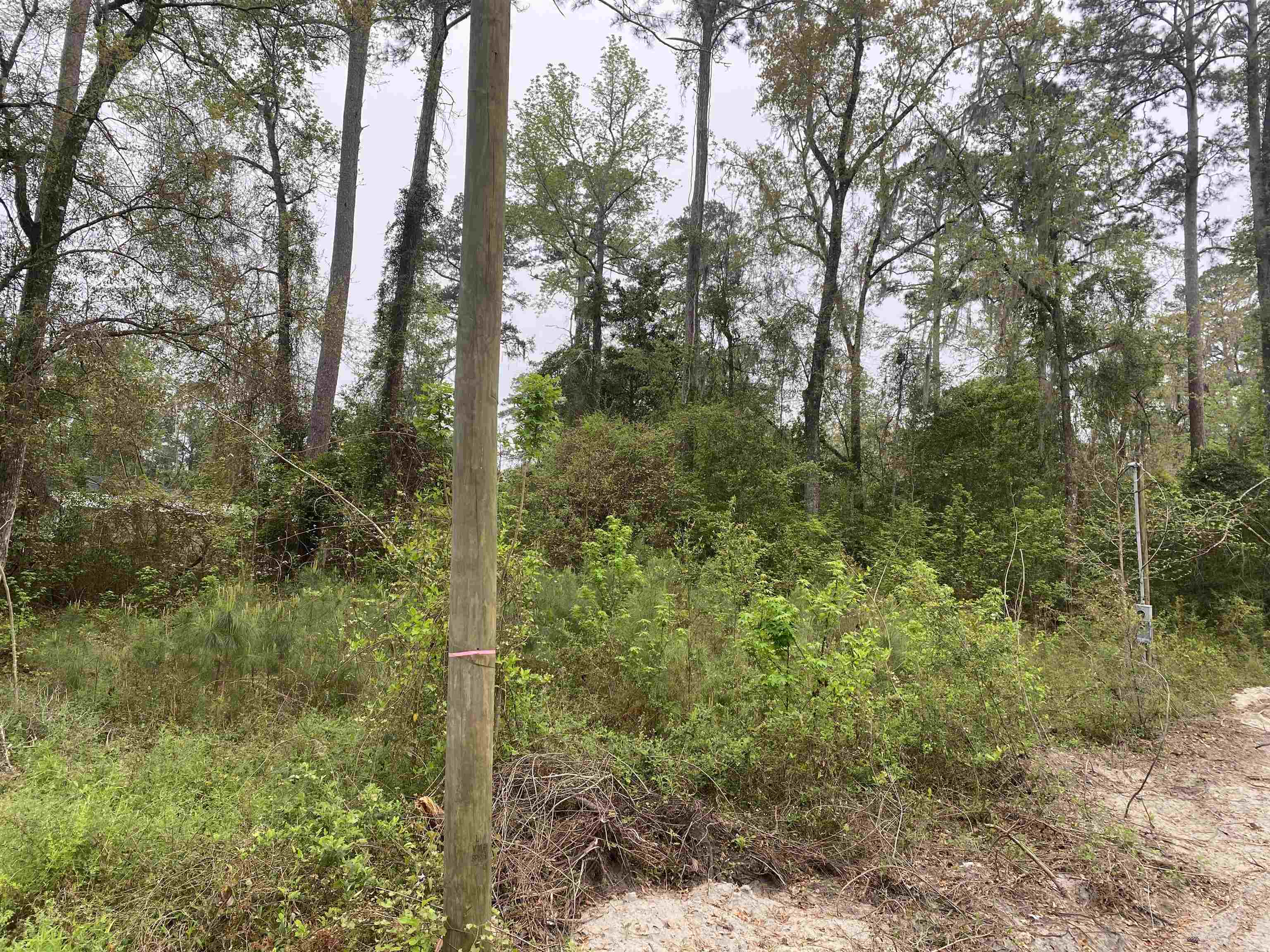 24 Maxson Road Crawfordville, FL 32327 - Photo 7 of 9 Gallery Image 7
