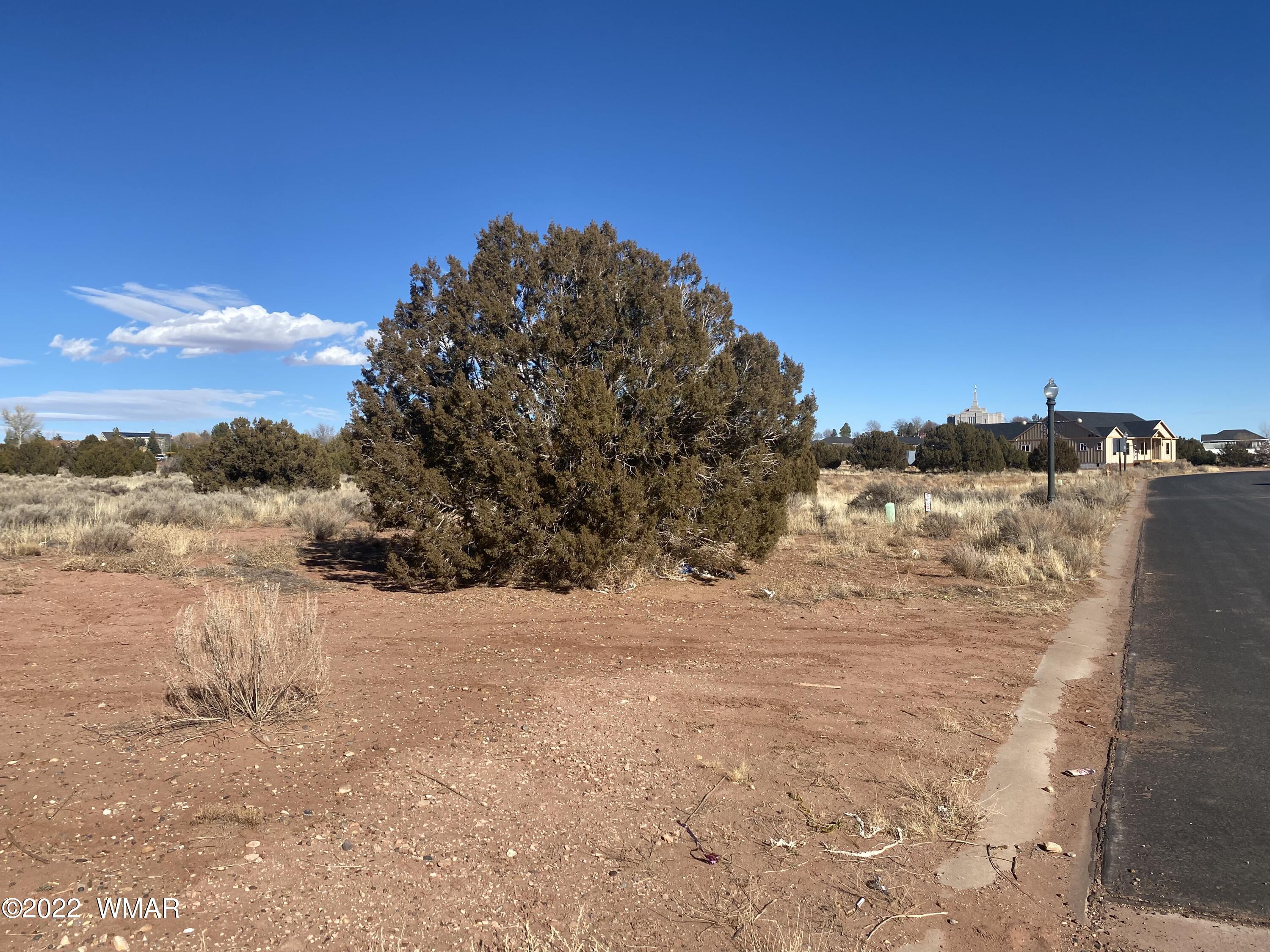 Lot 25 Lot View Snowflake, AZ 85937 - Photo 2 of 2