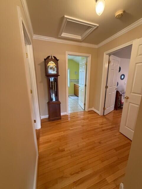 973 Levy Road Paris, KY 40361 - Photo 21 of 91 landing