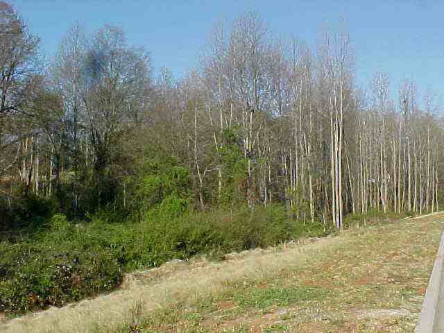 109 Canfield Road Honea Path, SC 29654 - Photo 1 of 1