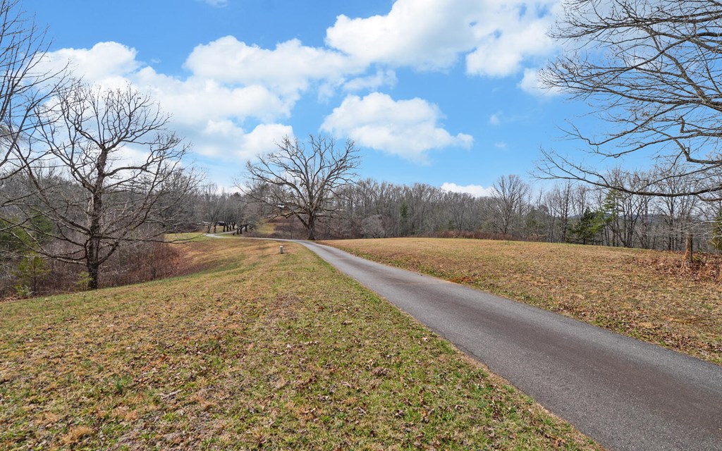 205 Goldie Garrett Road Marble, NC 28905 - Photo 48 of 60 Gallery Image 48