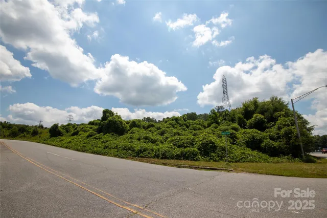 a view of a flower in a garden