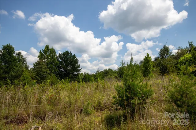 a view of a city with lush green forest
