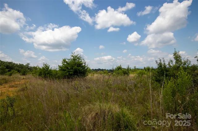 a view of lake with green space