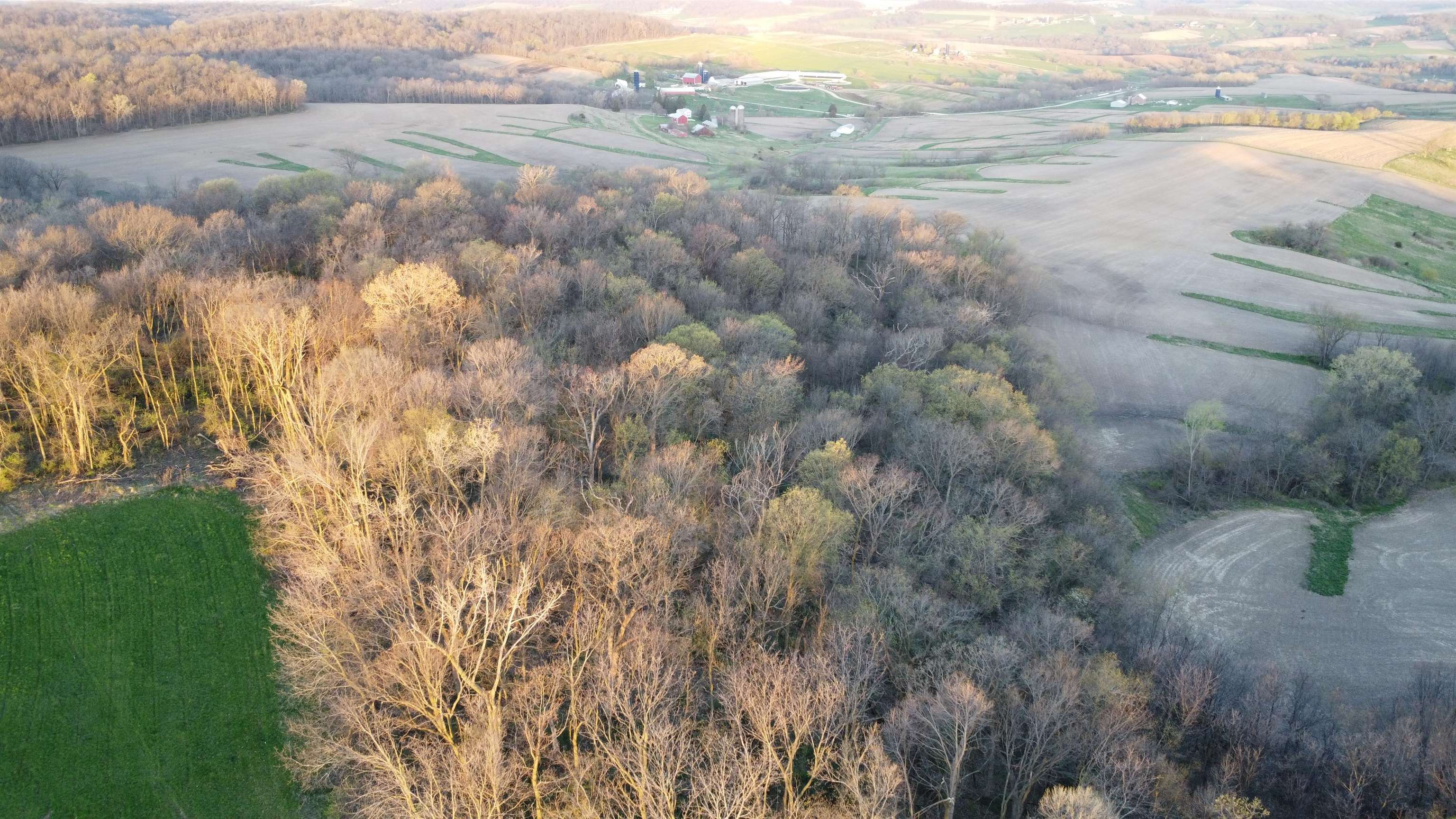 Tbd South Massbach Road Stockton, IL 61085 - Photo 11 of 29 Gallery Image 11