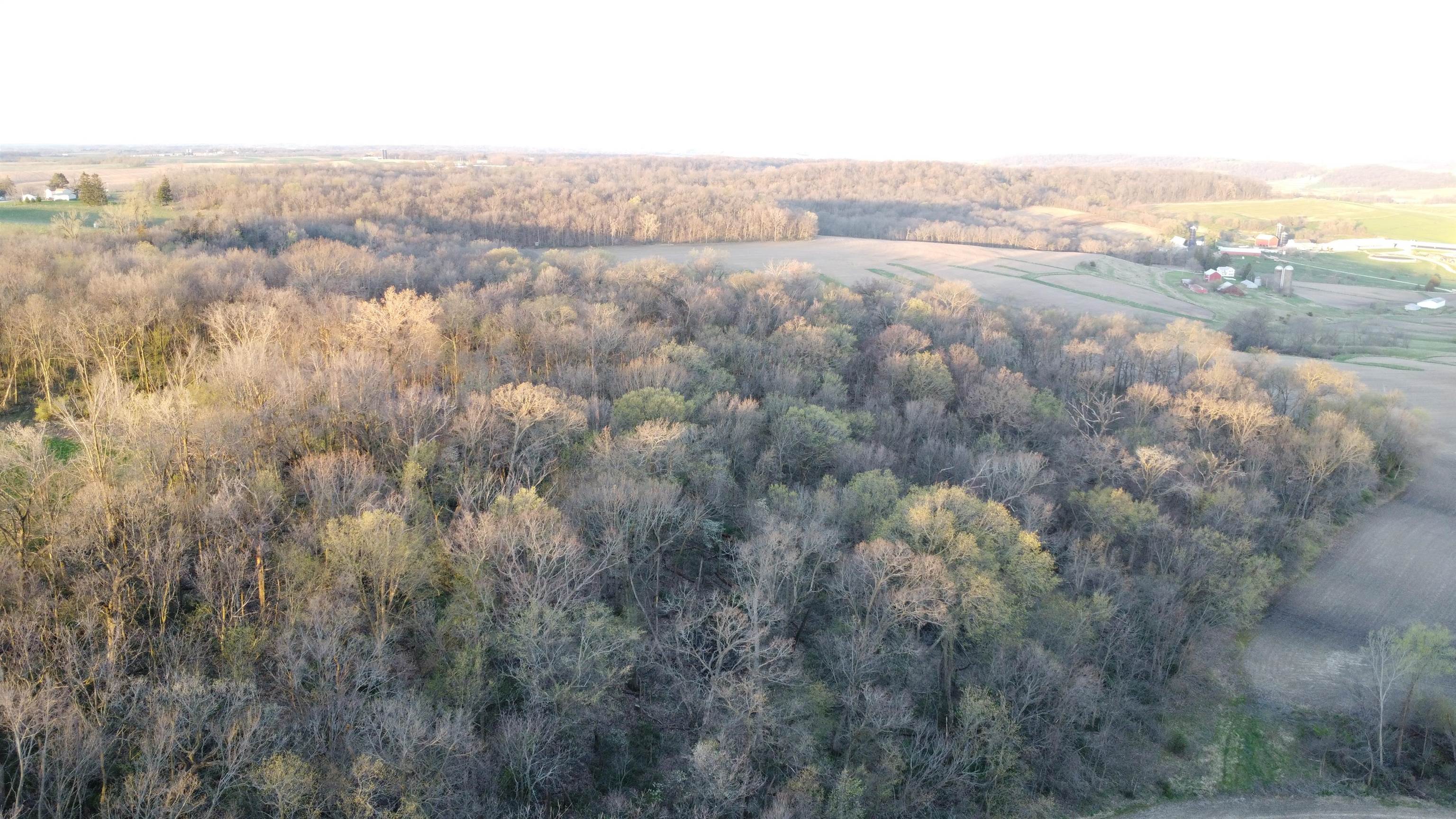 Tbd South Massbach Road Stockton, IL 61085 - Photo 14 of 29 Gallery Image 14