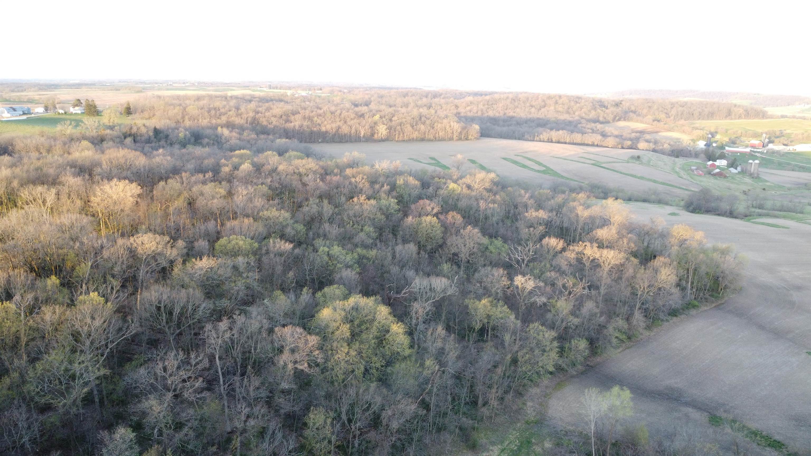 Tbd South Massbach Road Stockton, IL 61085 - Photo 6 of 29 Gallery Image 6