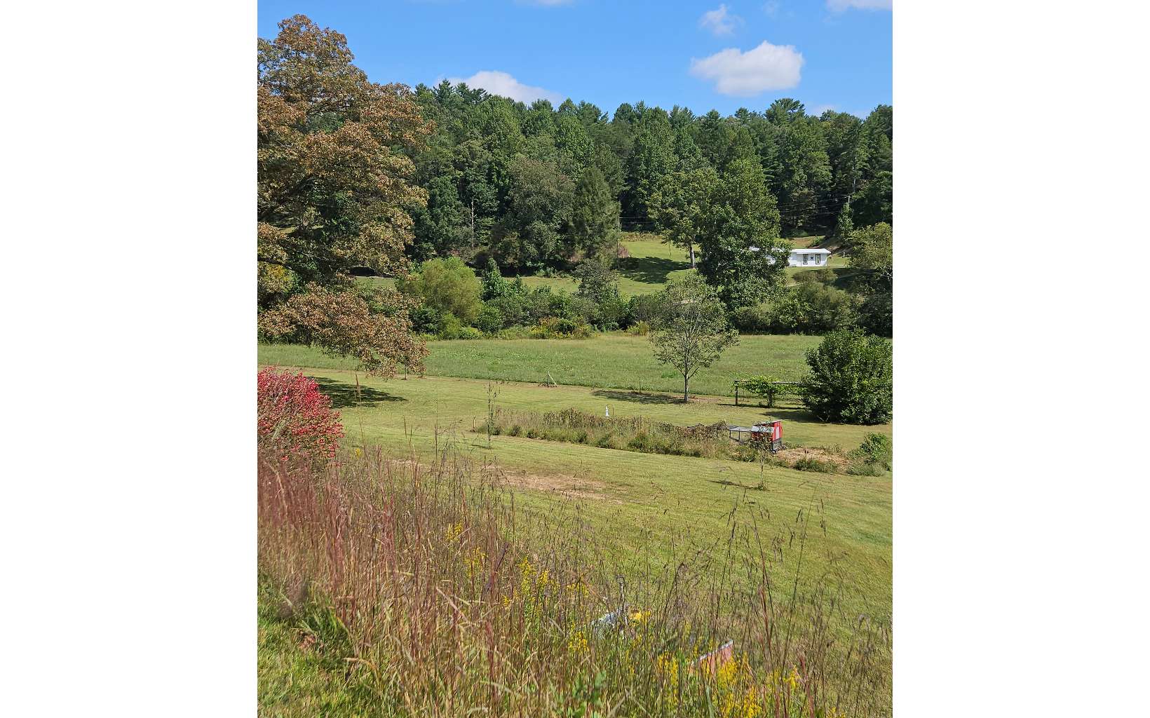 70 Boones Farm Road Murphy, NC 28906 - Photo 50 of 55 Additional View