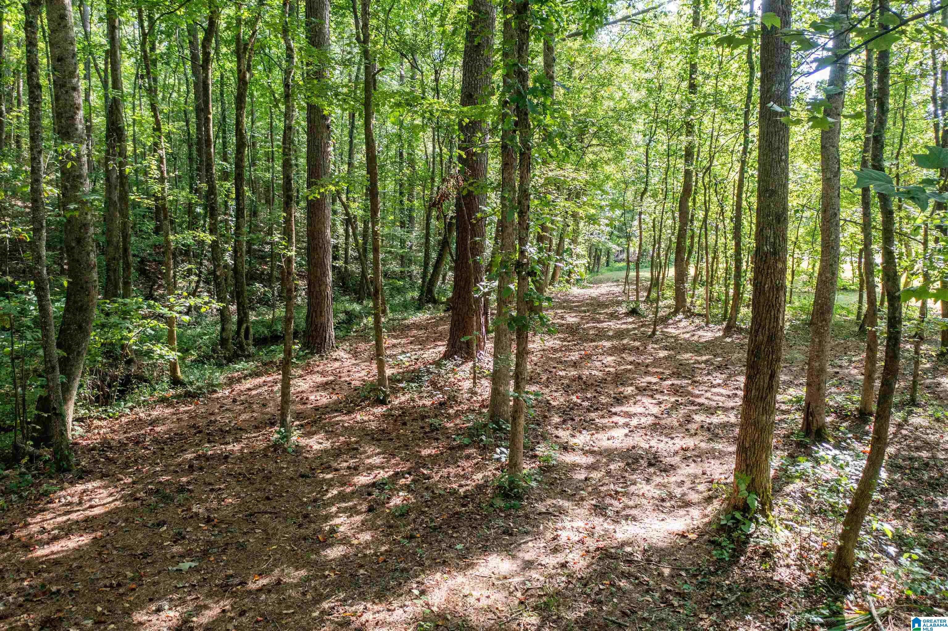 1961 Dripping Rock Road Piedmont, AL 36272 - Photo 40 of 47