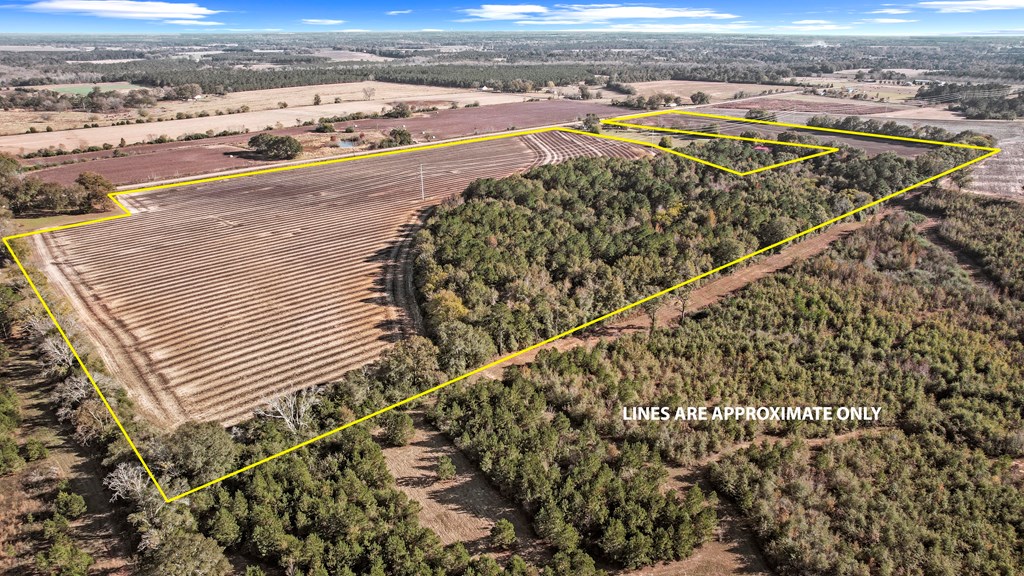 0 Gilley Mill Road Headland, AL 36345 - Photo 6 of 14