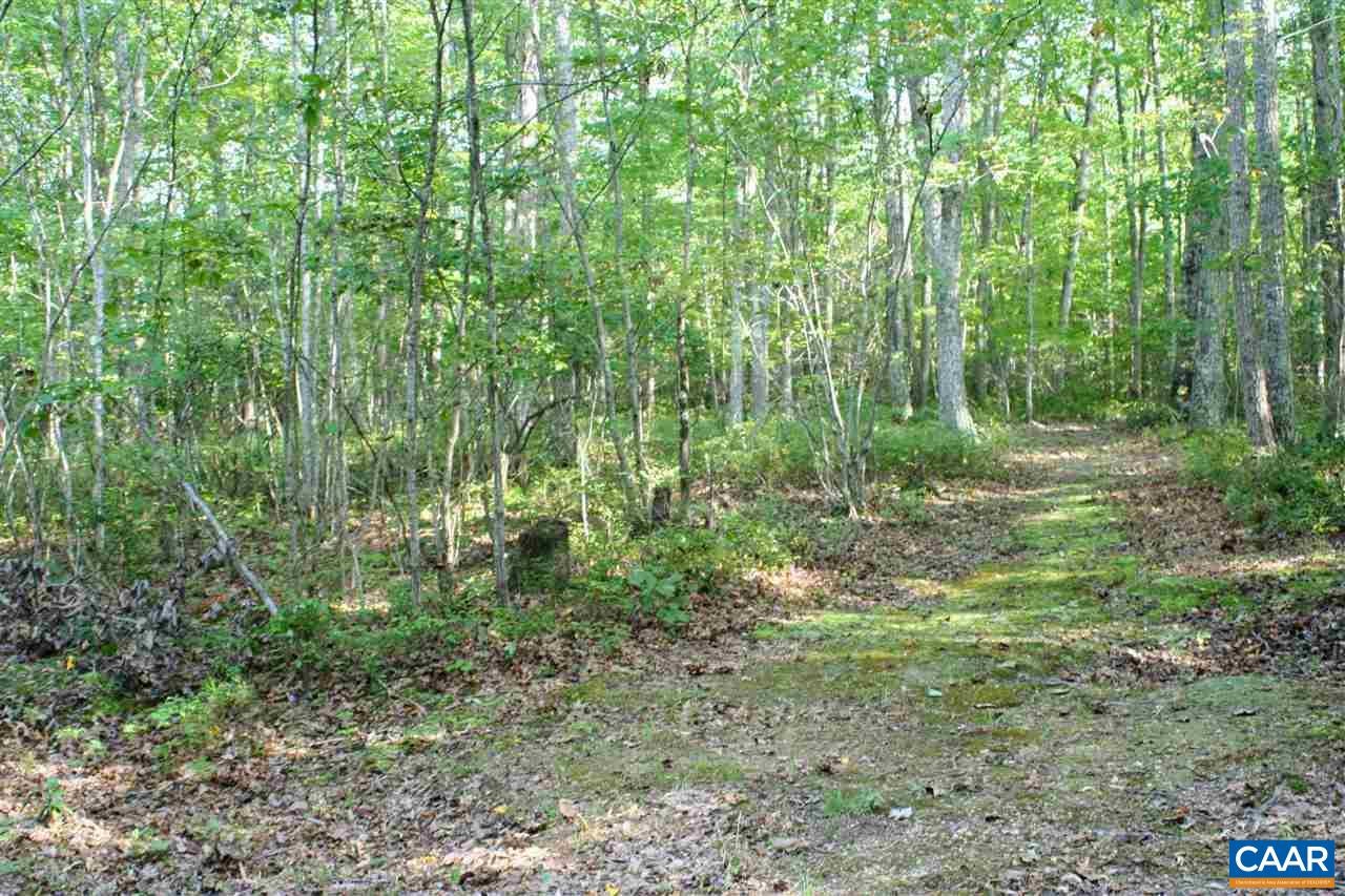 Tba Lot 2 Tba Route South Dillwyn, VA 23936 - Photo 30 of 39 Gallery Image 30