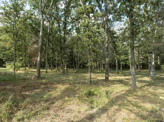 a view of a backyard with trees