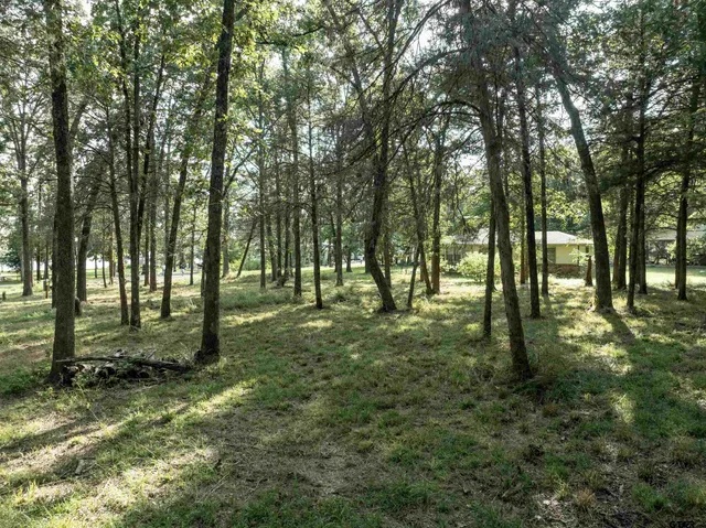 a view of outdoor space and trees