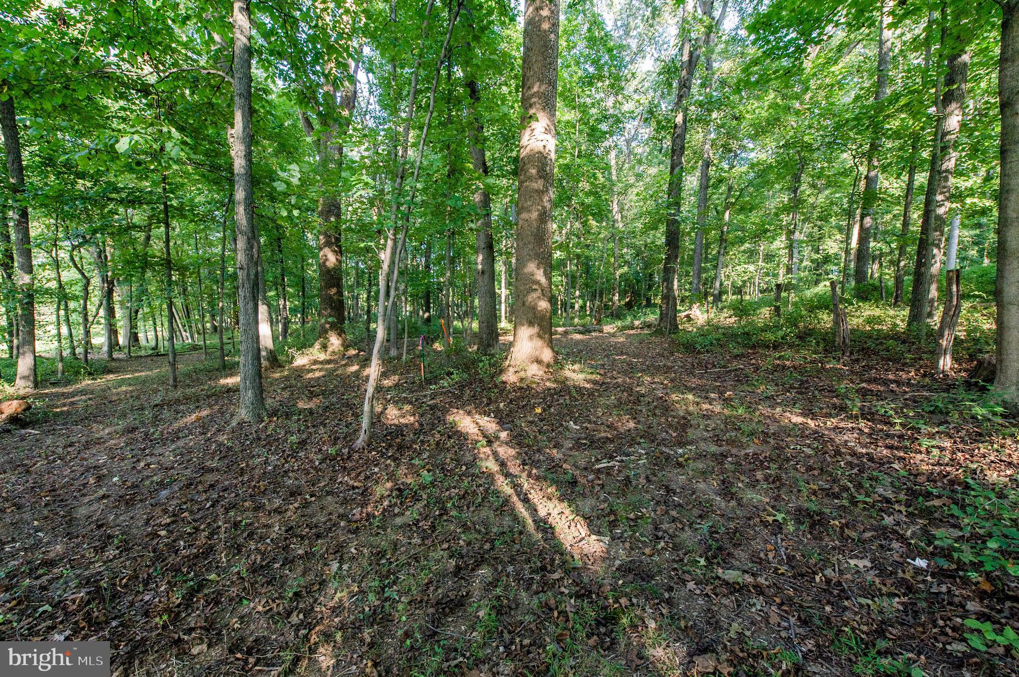 1199 Hoods Mill Road Cooksville, MD 21723 - Photo 3 of 18