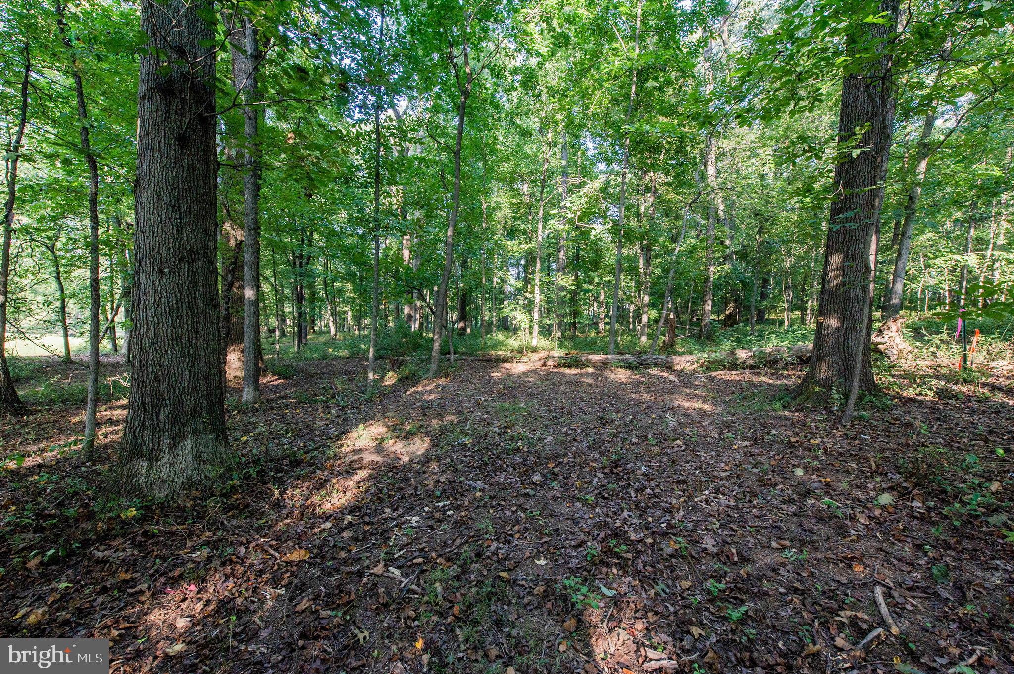 1199 Hoods Mill Road Cooksville, MD 21723 - Photo 5 of 18