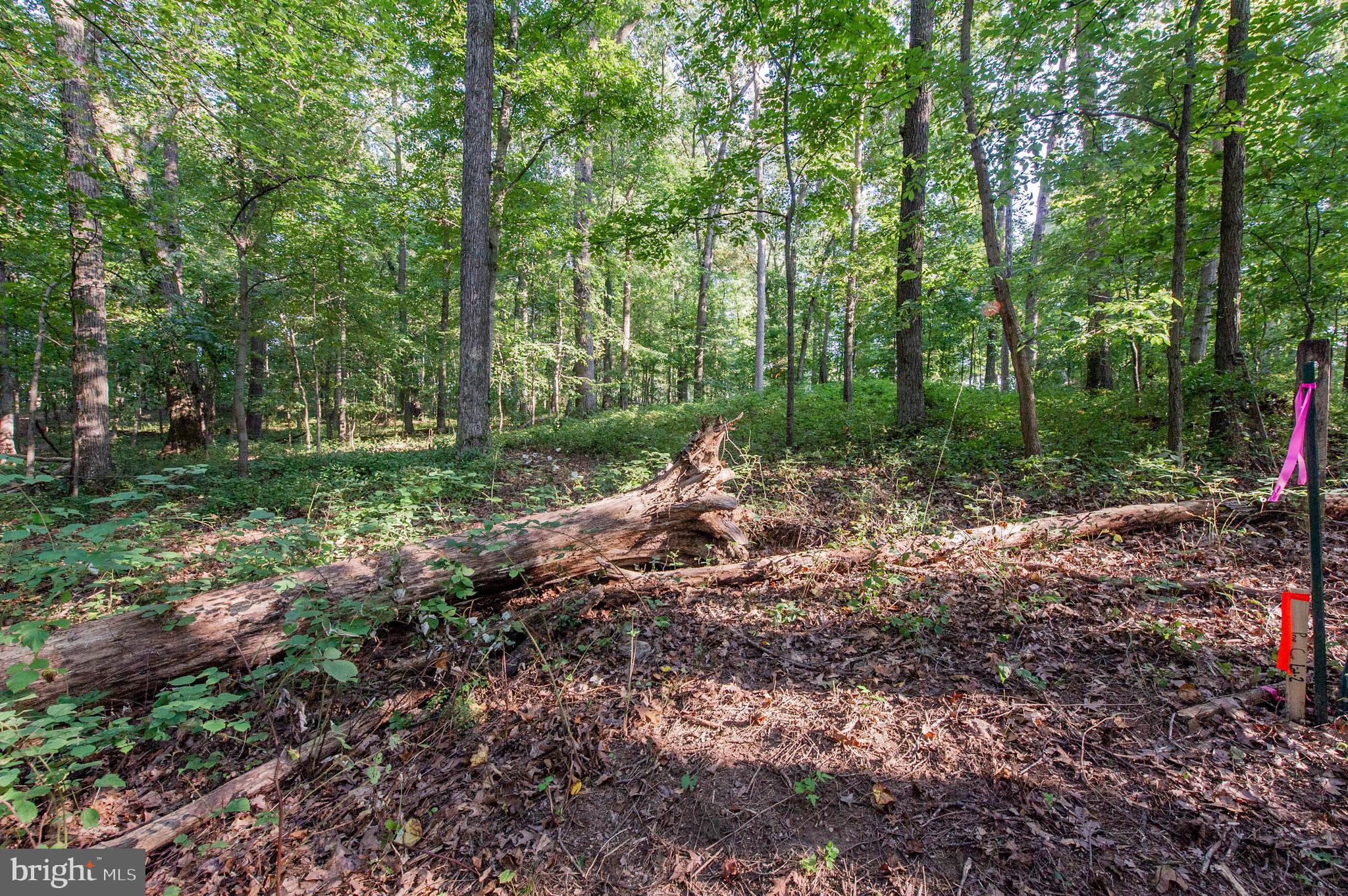 1199 Hoods Mill Road Cooksville, MD 21723 - Photo 6 of 18