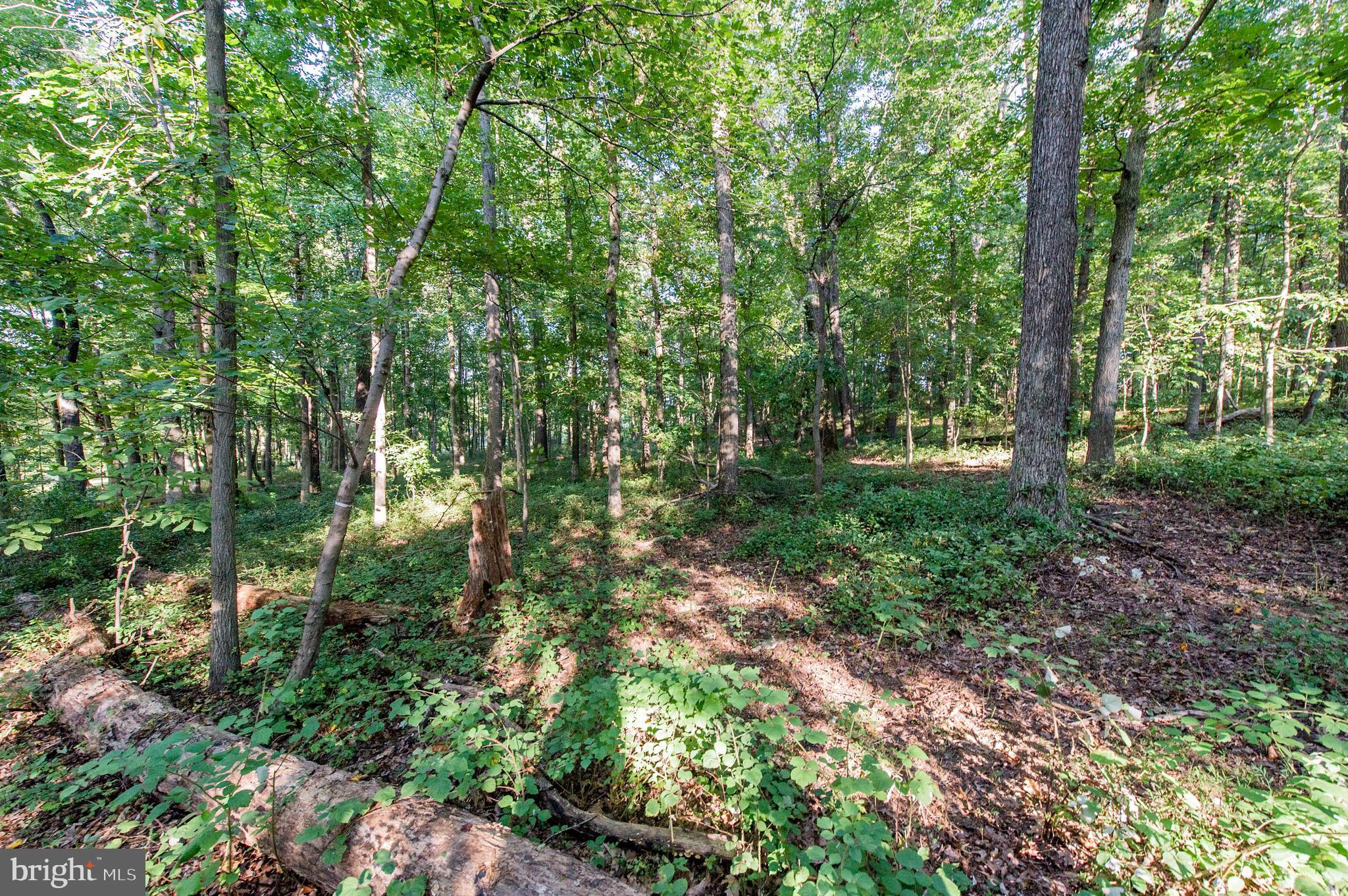 1199 Hoods Mill Road Cooksville, MD 21723 - Photo 7 of 18