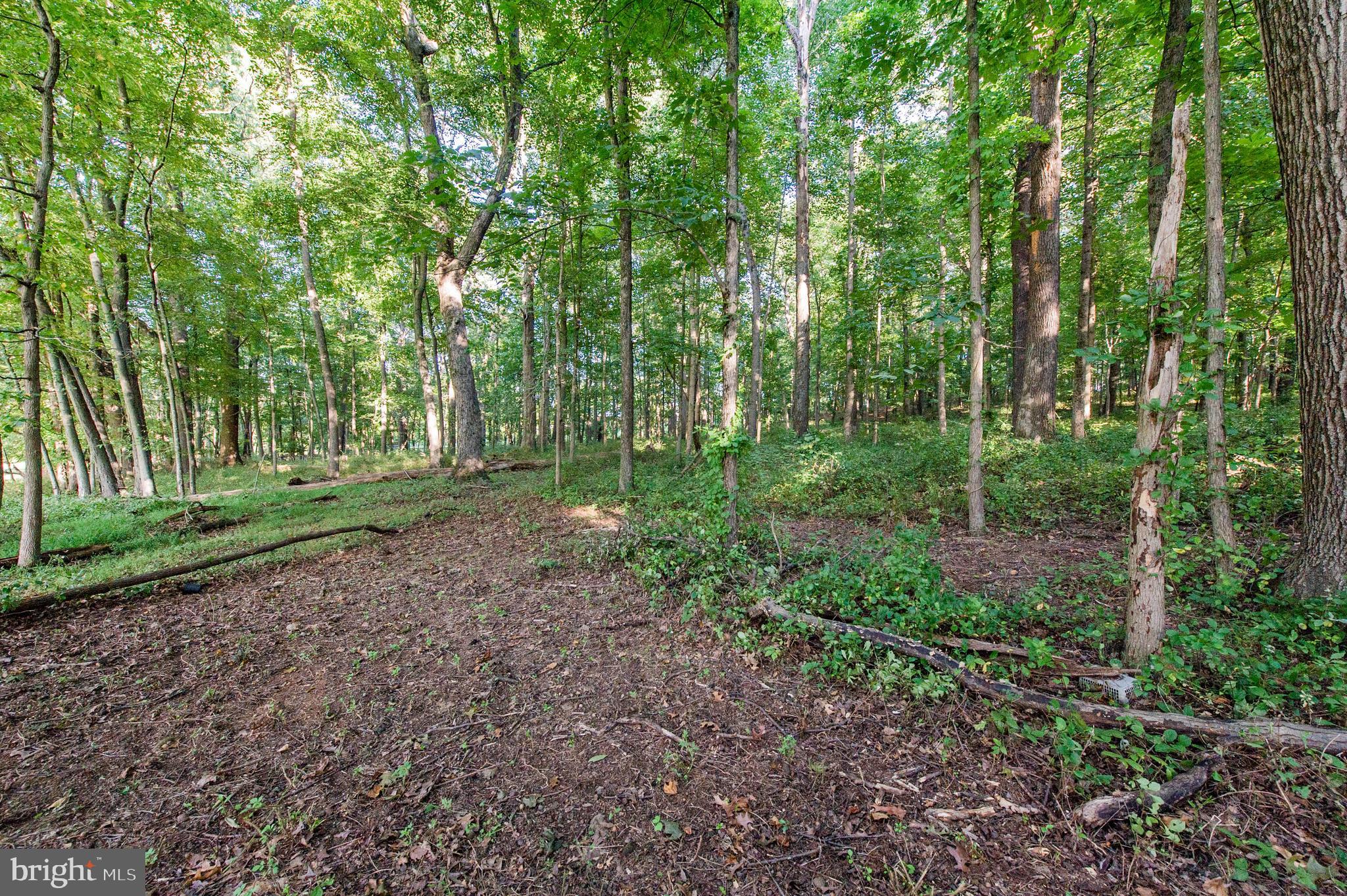 1199 Hoods Mill Road Cooksville, MD 21723 - Photo 8 of 18