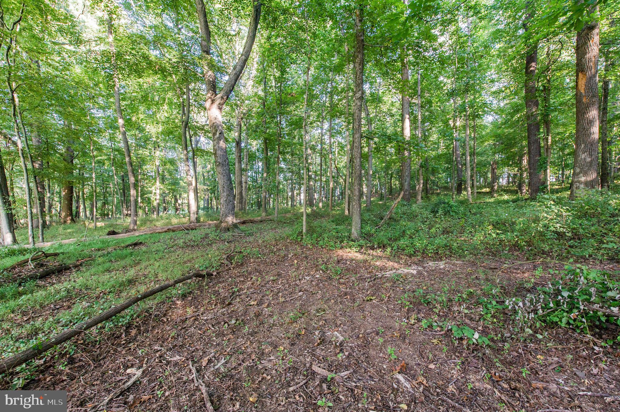 1199 Hoods Mill Road Cooksville, MD 21723 - Photo 9 of 18