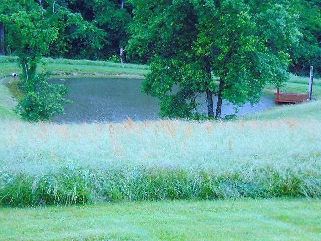 3865 Fortner Ridge Road Corinth, KY 41010 - Photo 10 of 22 Photo 10