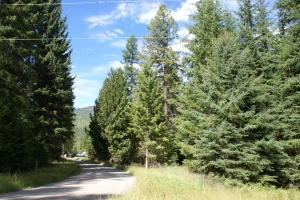 15-xx Bohanan Road Colville, WA 99114 - Photo 1 of 3