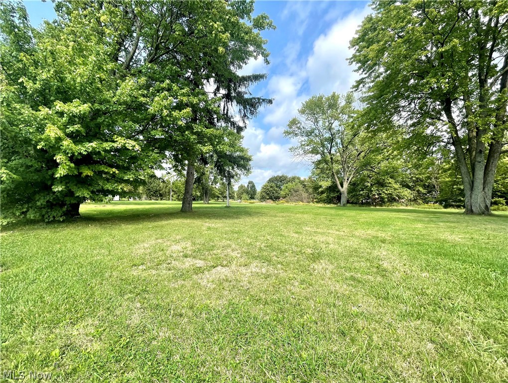 9028 Maple Grove Road Windham, OH 44288 - Photo 3 of 6