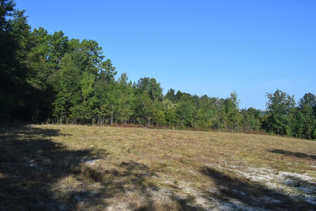 587 Riding Ridge Court Aiken, SC 29801 - Photo 2 of 9