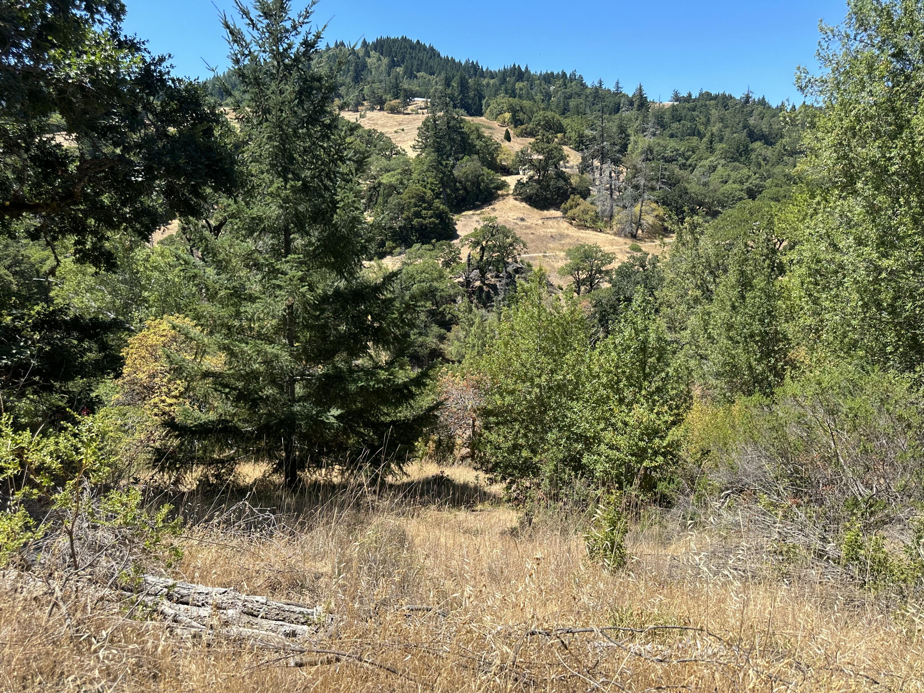No Address No Address Road Miranda, CA 95553 - Photo 2 of 45
