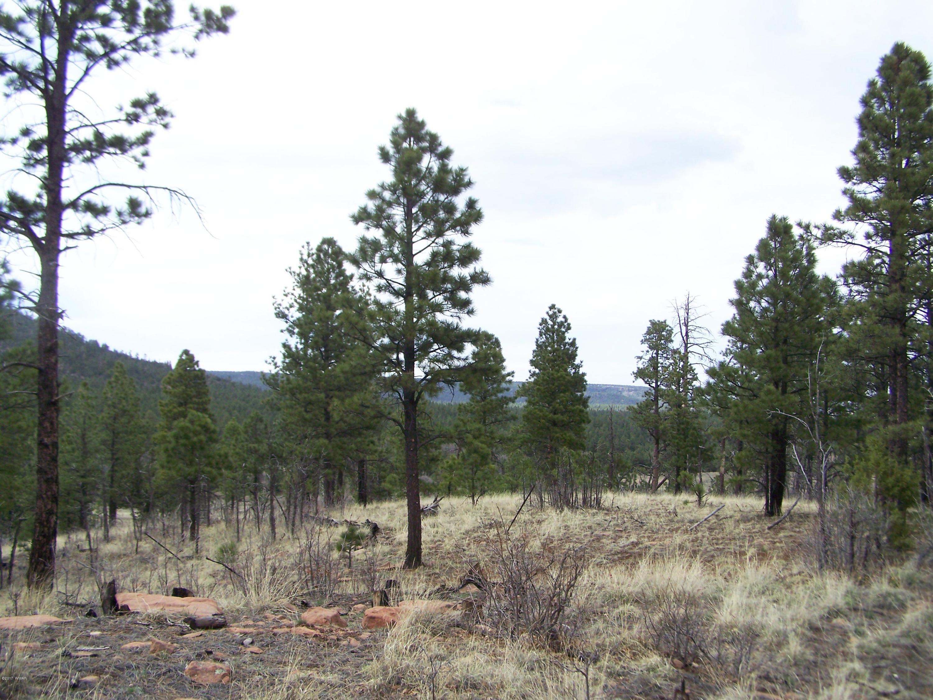 27 County Road Nutrioso, AZ 85932 - Photo 11 of 11