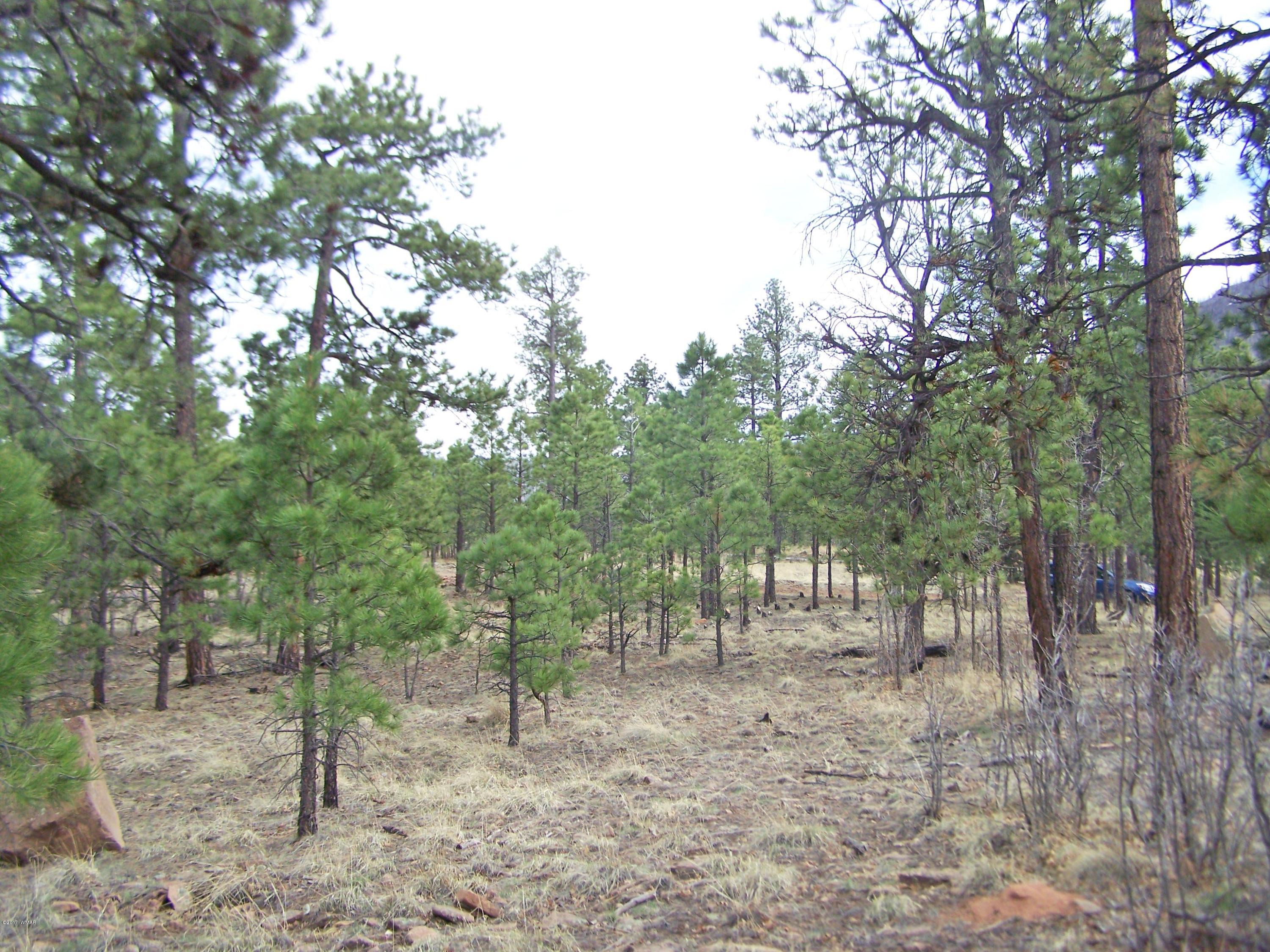27 County Road Nutrioso, AZ 85932 - Photo 5 of 11