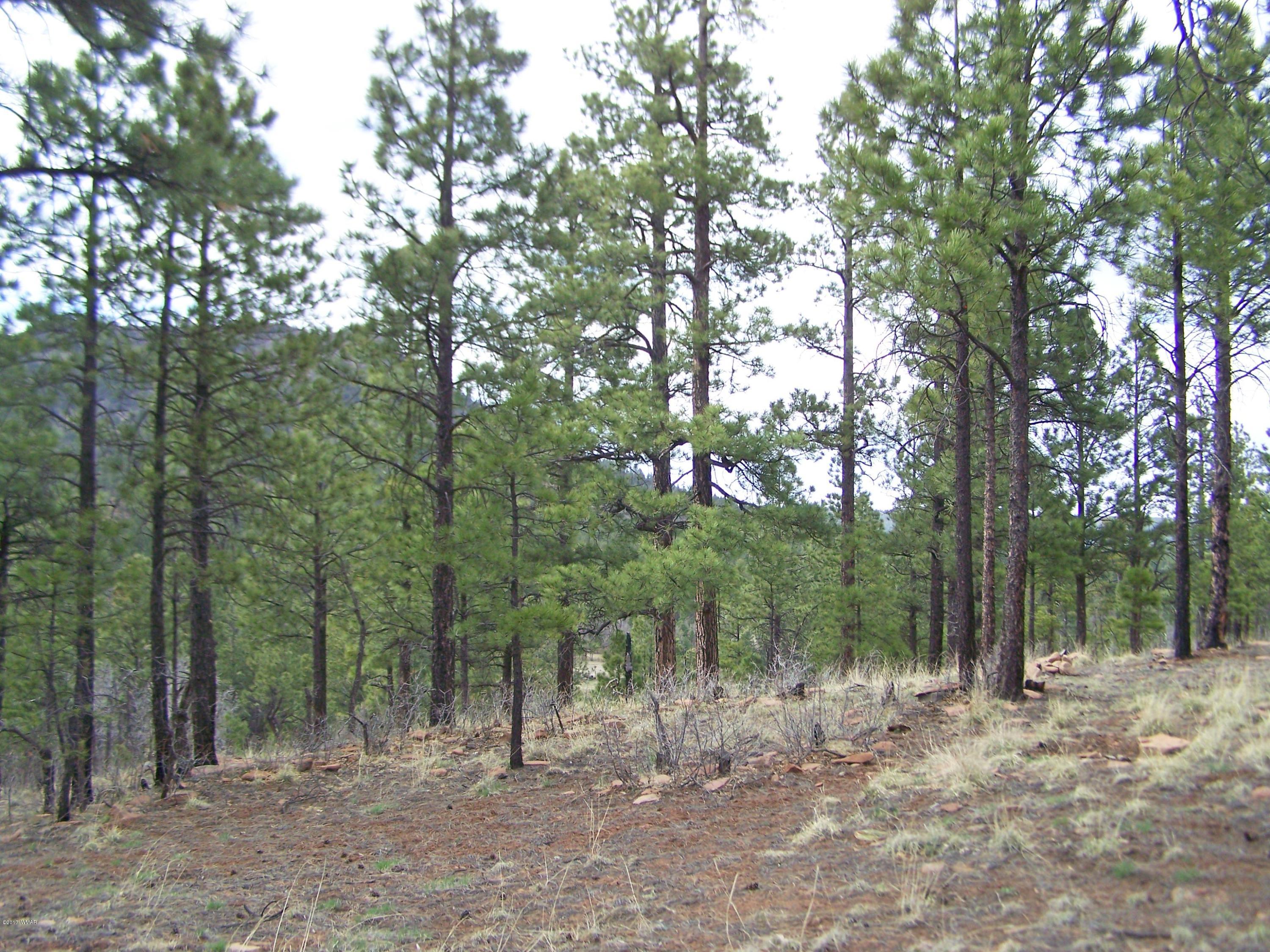 27 County Road Nutrioso, AZ 85932 - Photo 9 of 11