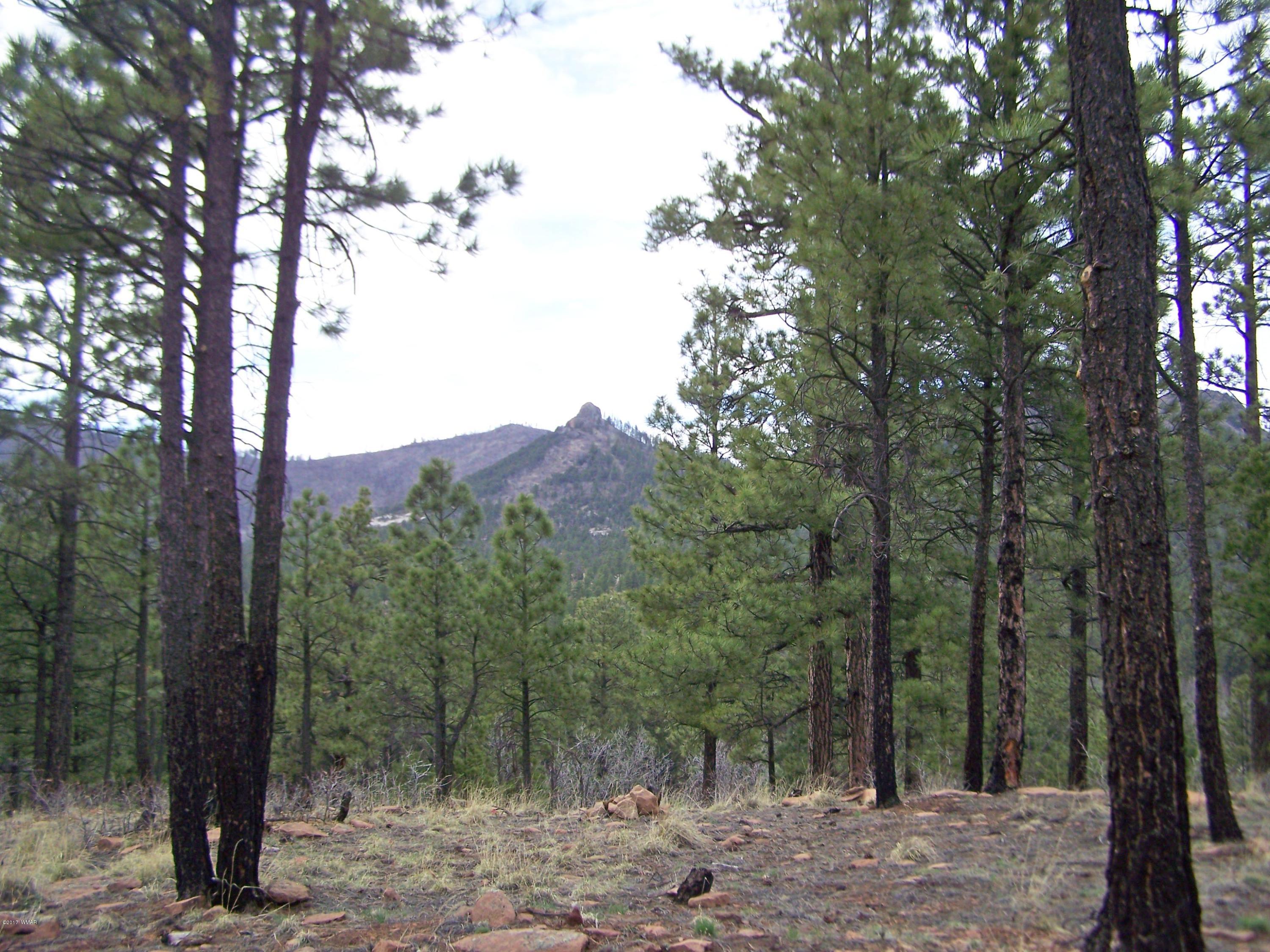 27 County Road Nutrioso, AZ 85932 - Photo 10 of 11