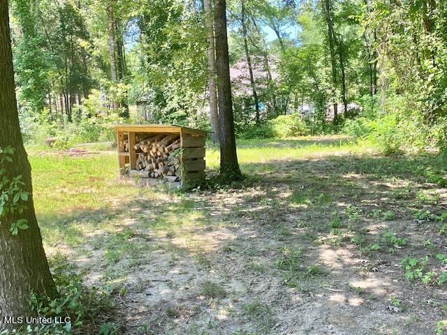 102 Harvest Road Coldwater, MS 38618 - Photo 11 of 37 IMG_4015