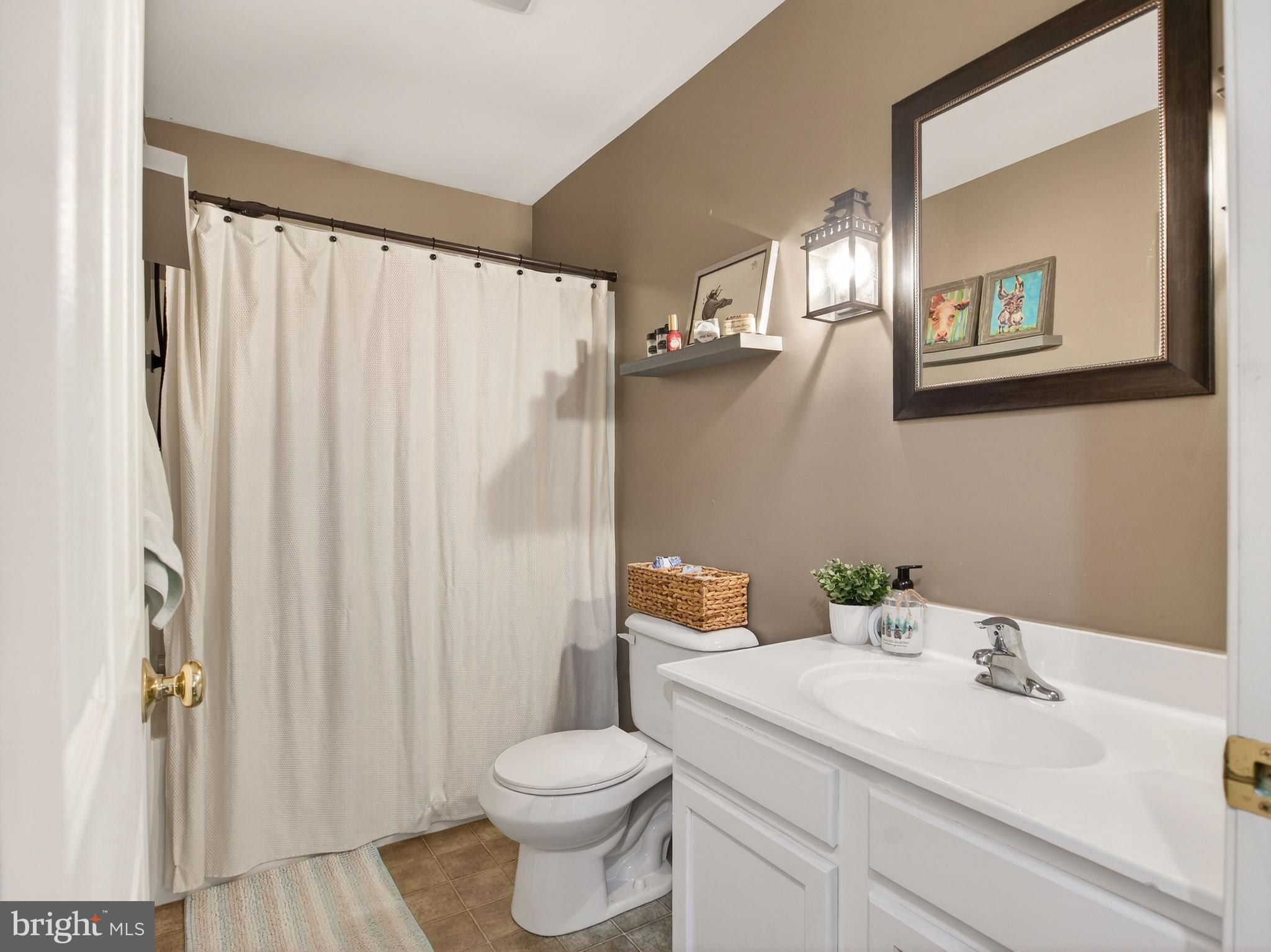 2586 West Hoover Road Haywood, VA 22722 - Photo 23 of 35 a bathroom with a sink toilet and shower