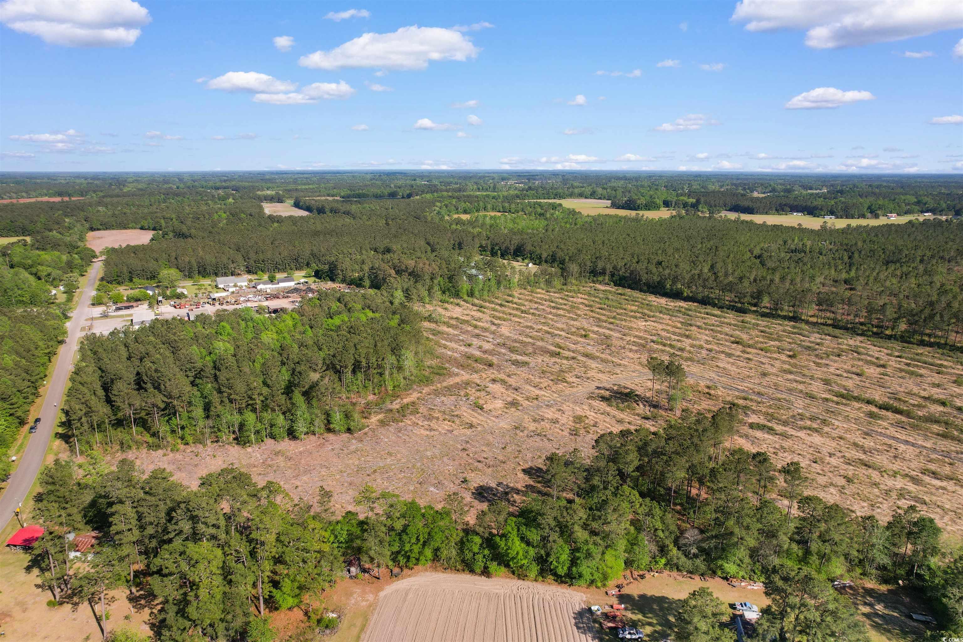 3800 Danny Road Loris, SC 29569 - Photo 15 of 20 Drone / aerial view featuring a forest view