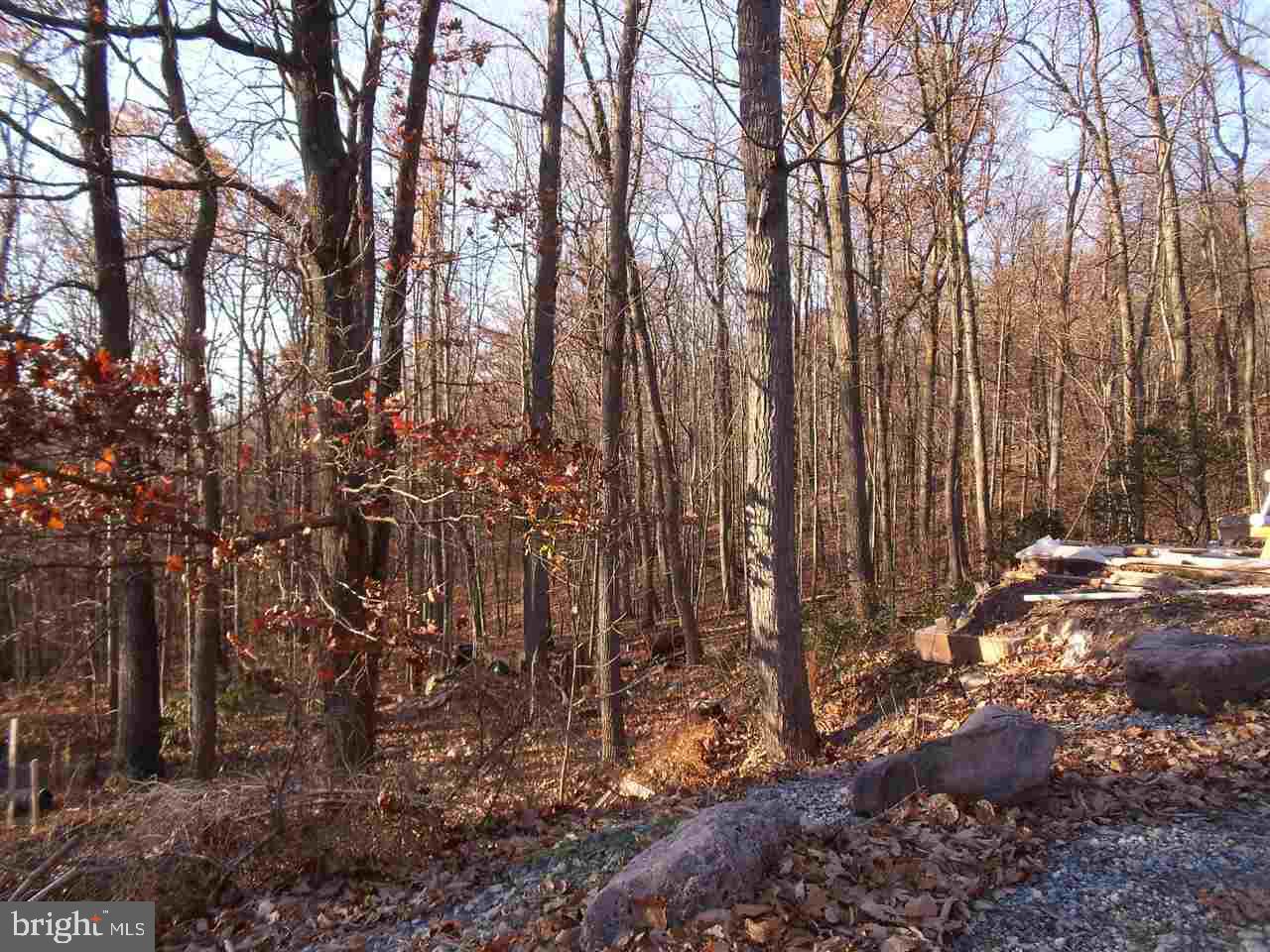5500 Lewisberry Road Dover, PA 17315 - Photo 4 of 16