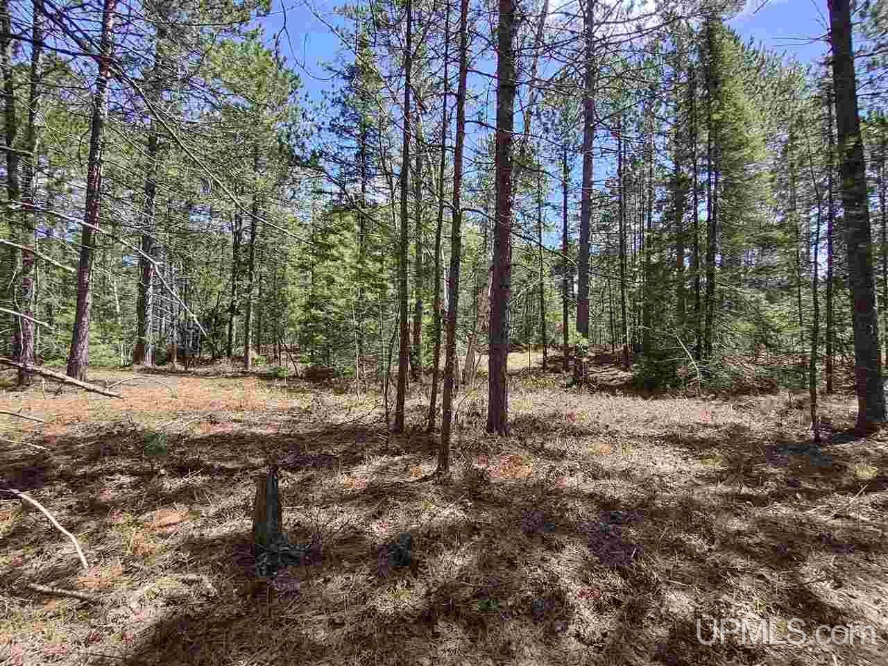 60 Little Rice Lk Road Lake Linden, MI 49945 - Photo 5 of 22