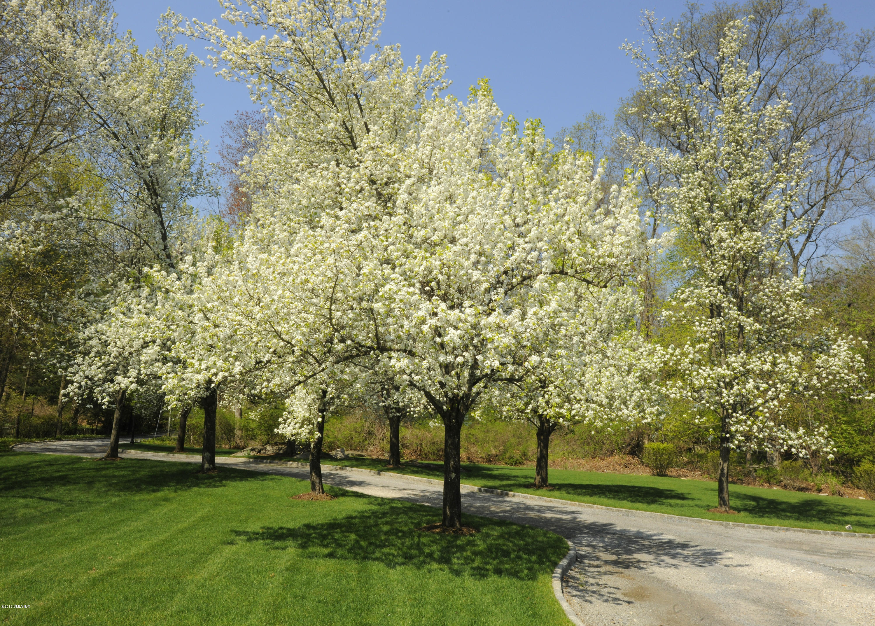 36 Perkins Road Greenwich, CT 06830 - Photo 3 of 26 a huge green field with lots of trees