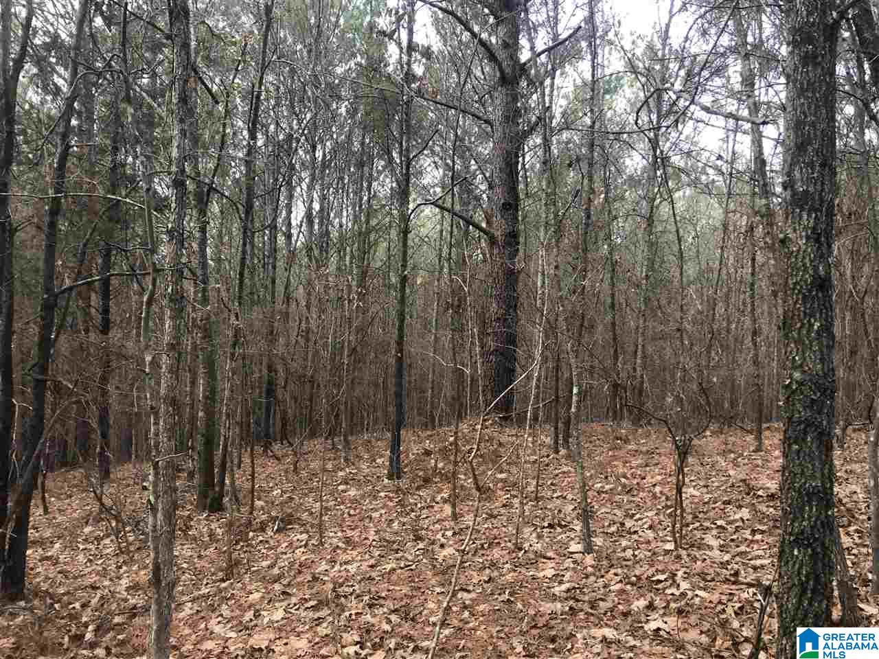 Slick Lizzard Road, Unit 1 Nauvoo, AL 35578 - Photo 4 of 8