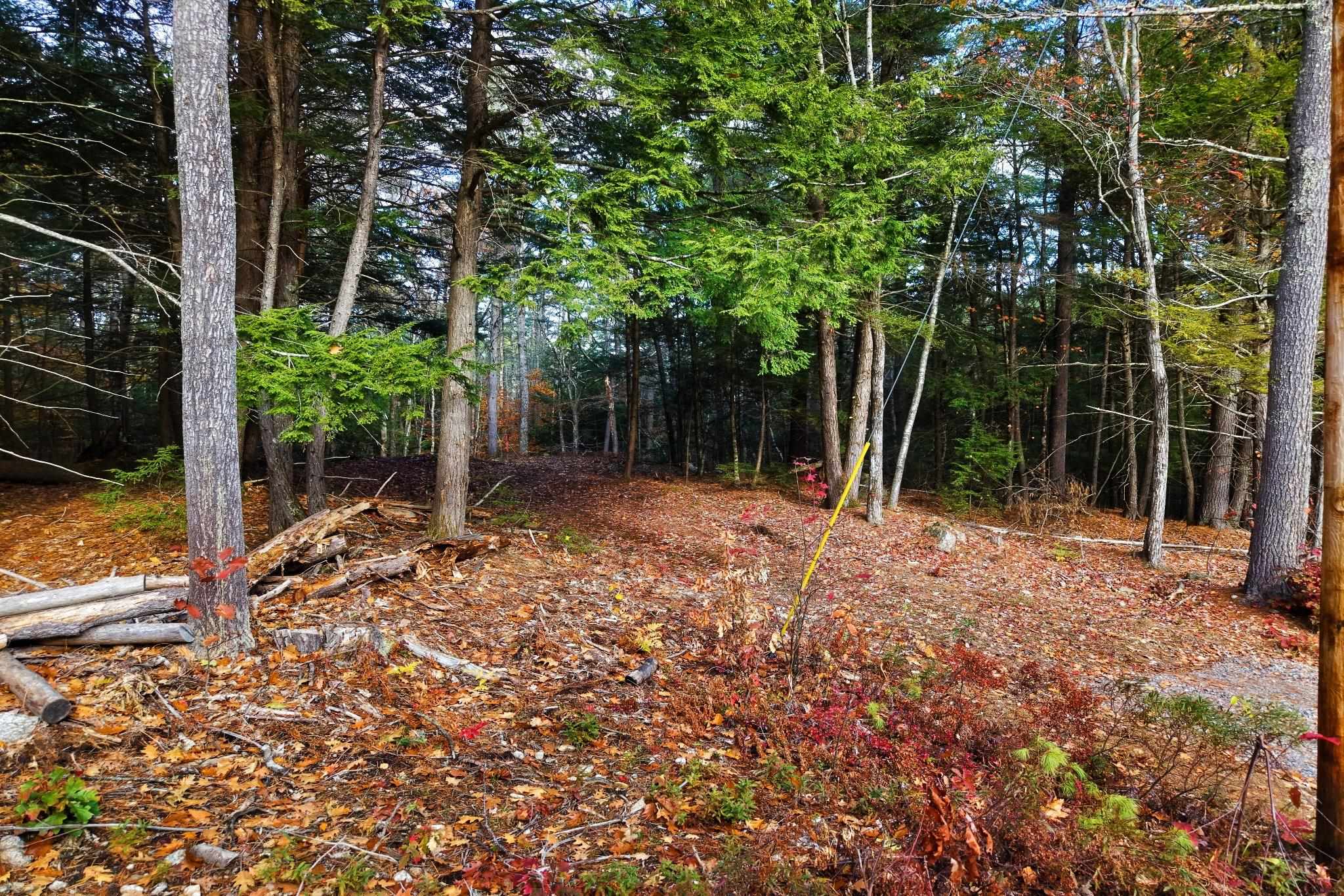 Lot 12-5 Needle Eye Road Meredith, NH 03253 - Photo 6 of 12