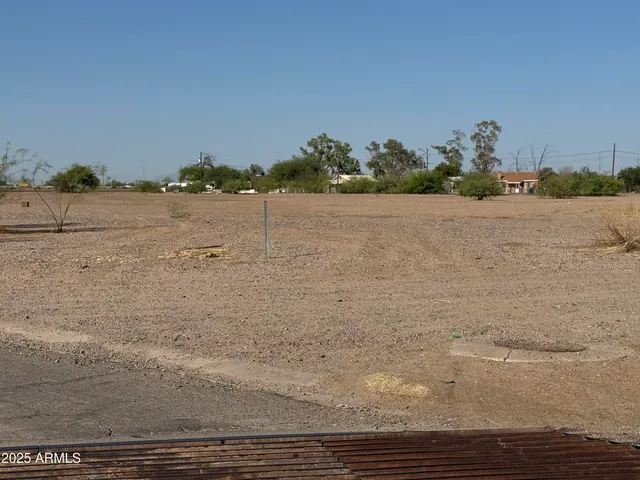 a view of a dry yard with wooden fence