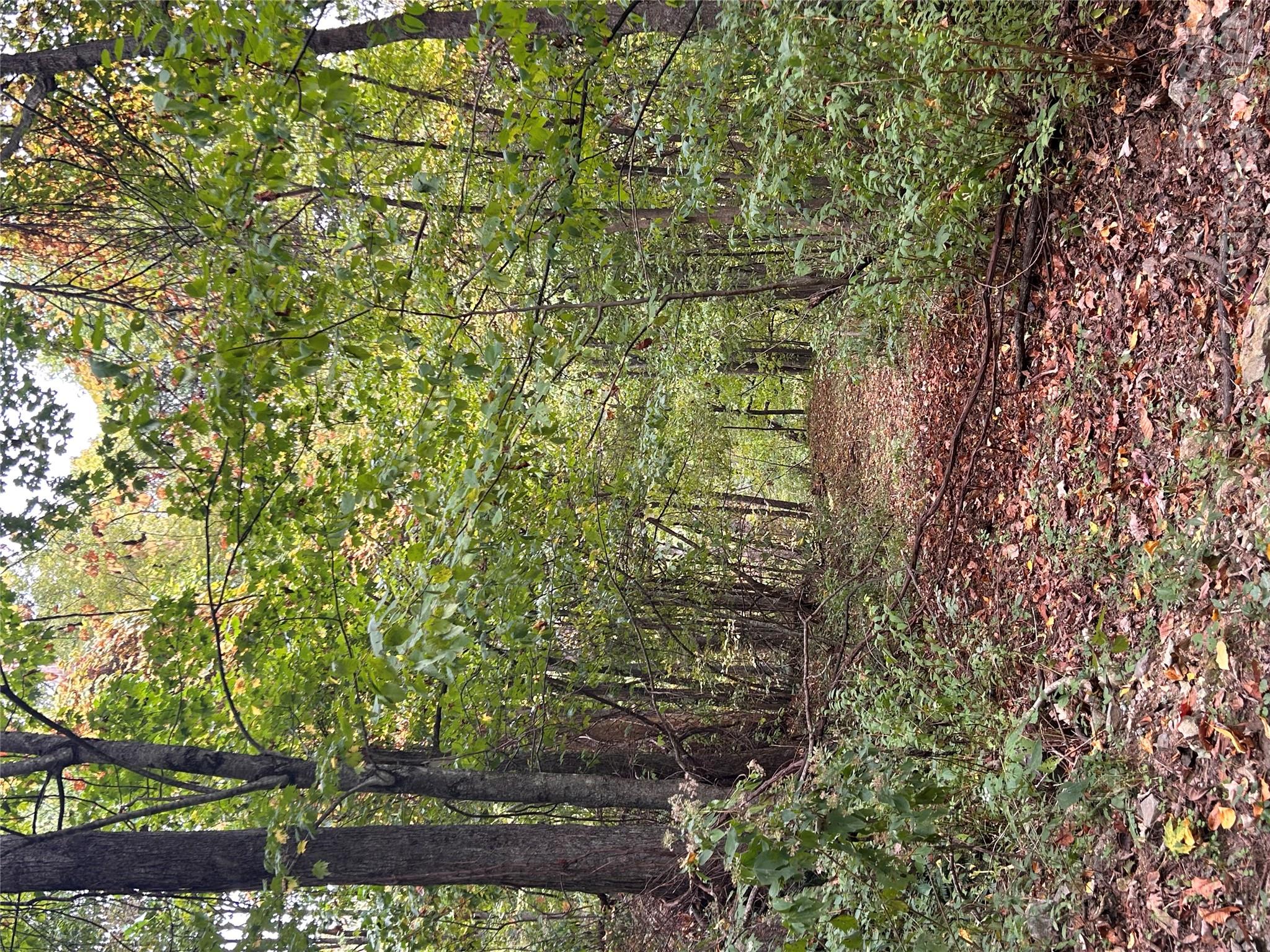 340 Wayah Zooshuga Road Maggie Valley, NC 28751 - Photo 24 of 25 Gallery Image 24