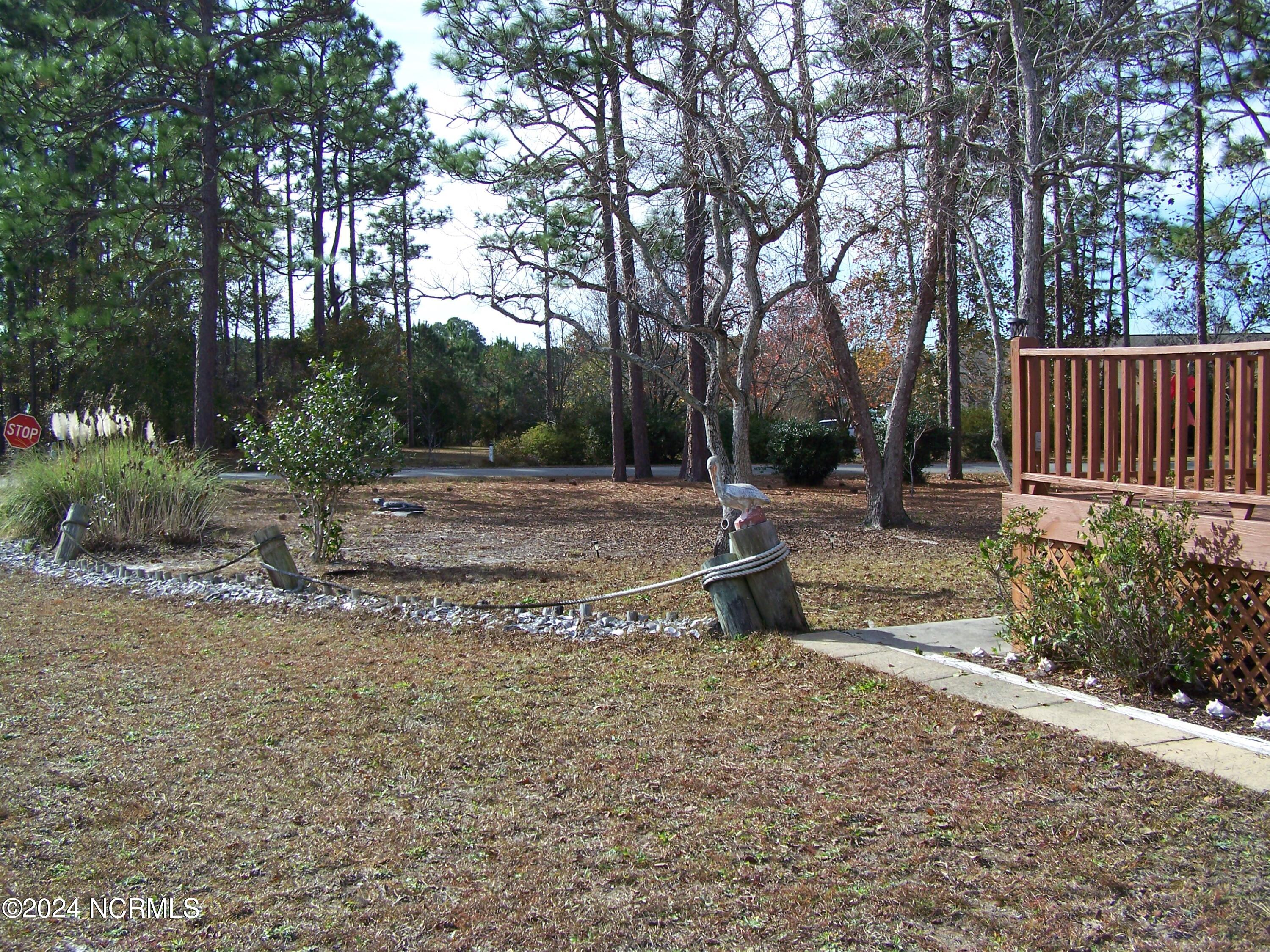 36 North Lake Drive Boiling Spring Lakes, NC 28461 - Photo 35 of 55 Right side towards front yard