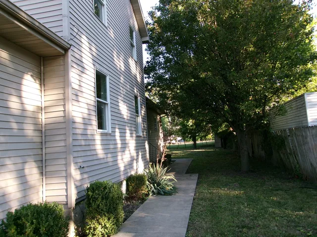 a view of backyard with plants and large tree