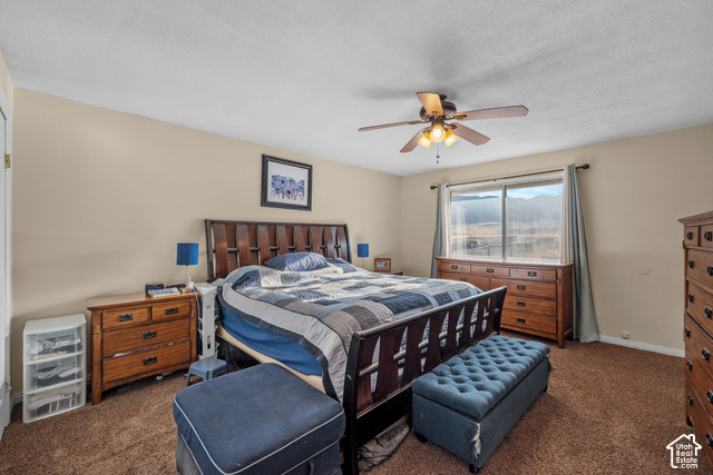 2098 Droubay Road Tooele, UT 84074 - Photo 8 of 38 Gallery Image 8